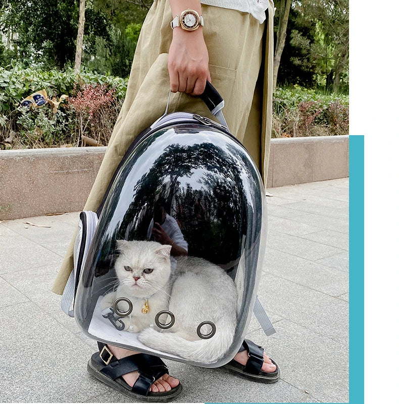 Breathable Cat Capsule Backpack